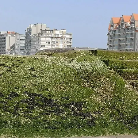 Westeinders Sea View Apartment