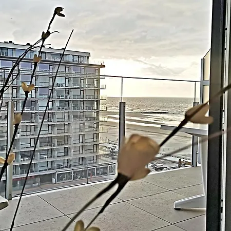 Апартаменты Westeinders Sea View Миделкерк